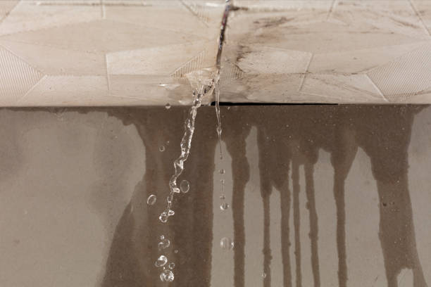 Professional Water Damage Inspection technician working in Safety Harbor, FL